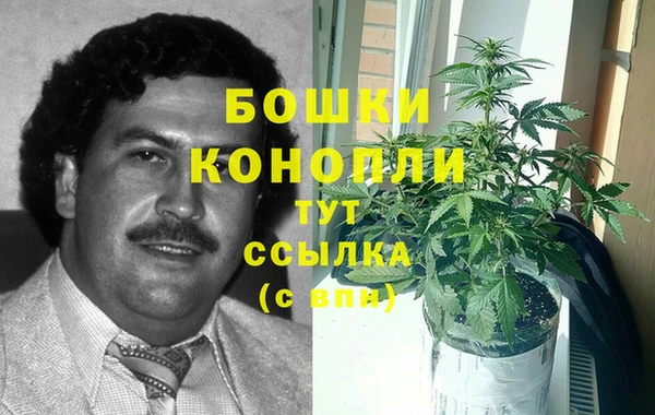 спиды Рославль