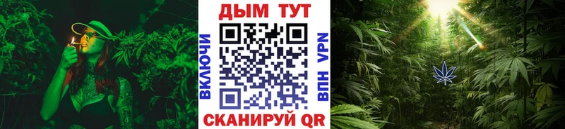 Бошки Шишки сатива как найти наркотики Киреевск